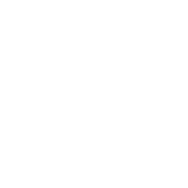 shipping icon