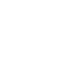 dollar icon